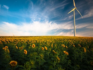 how to switch your energy supplier - green energy tariff
